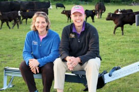 Sarah Fuhrmann and Terry Smythe on the road with the cows in Vermont